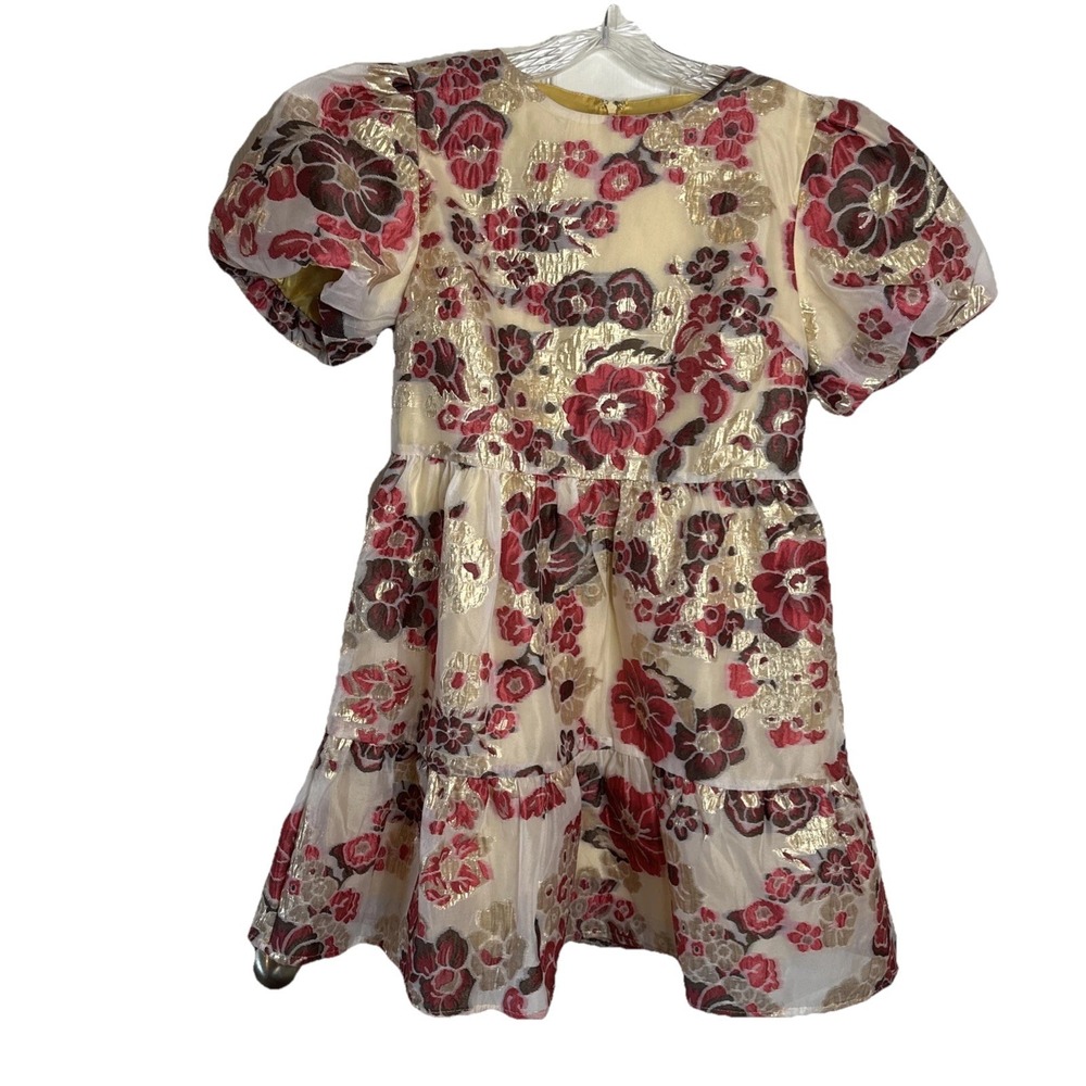 TCEC Aria Dress Size Med Raspberry Cream Floral Jacquard Puff Slv Ethereal